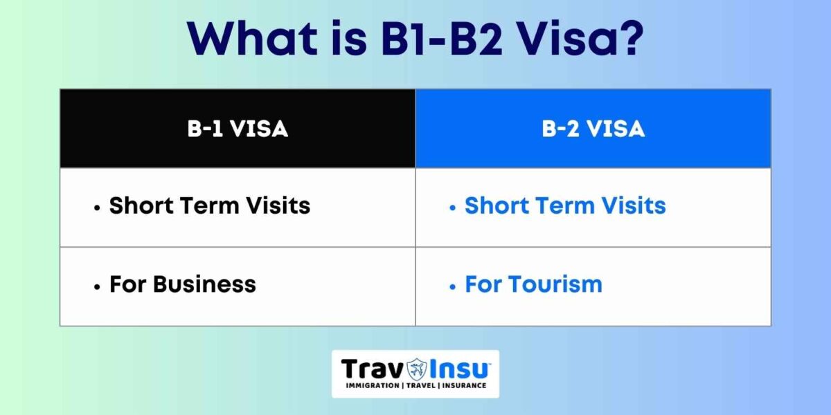 B1/B2 Visa Category