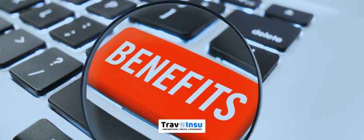USCIS Online Account Benefits
